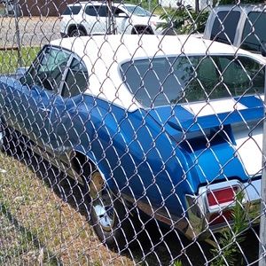 Meet your Posher, Rico